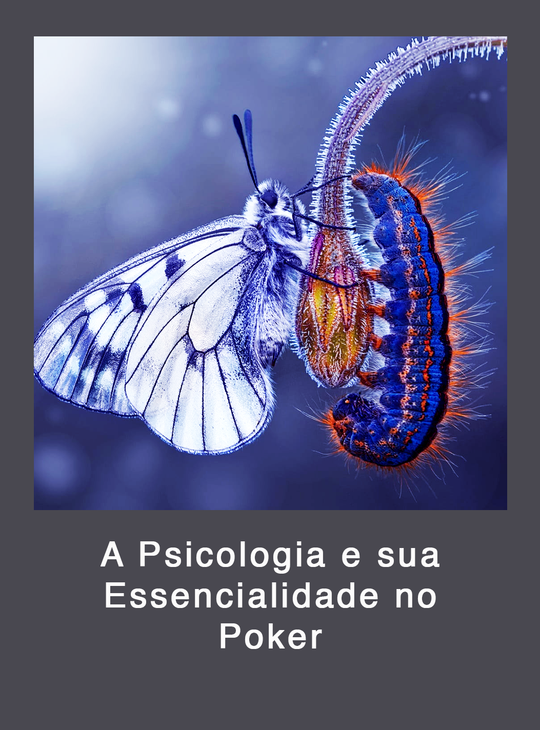 Como encontrar um terapeuta online